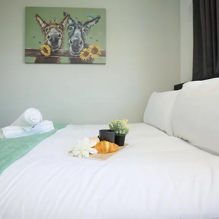 Homely ! Perfect For Contractors And Guests With Private Off Street Parking Bristol