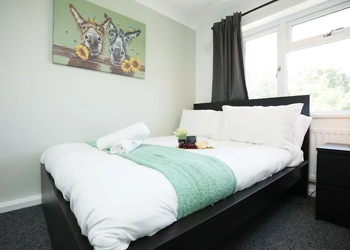 Apartment Homely ! Perfect For Contractors And Guests With Private Off Street Parking Bristol